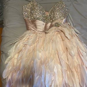 Blush feathered / embellished prom dress 💗